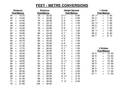 5 feet 1 inch in meters|5 1 in meters height.